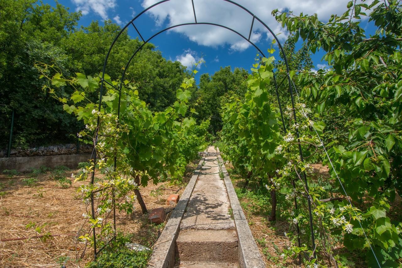 Organic Gardens Villa Crikvenica Exteriér fotografie