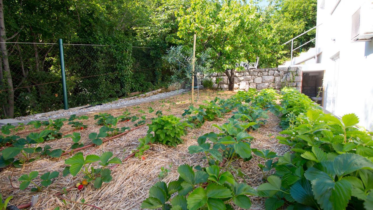 Organic Gardens Villa Crikvenica Exteriér fotografie
